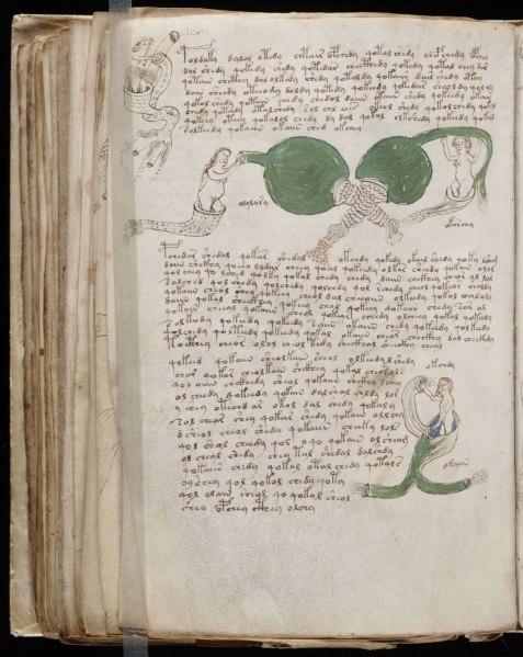 File:VM 83v.jpg