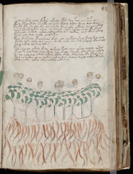 File:VM 43r.jpg