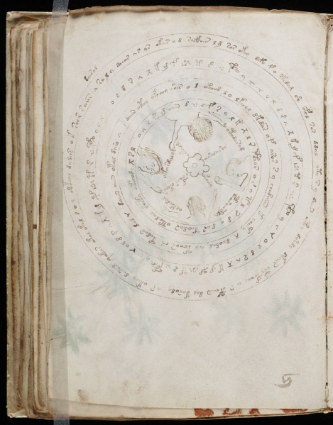 File:VM 57v.jpg