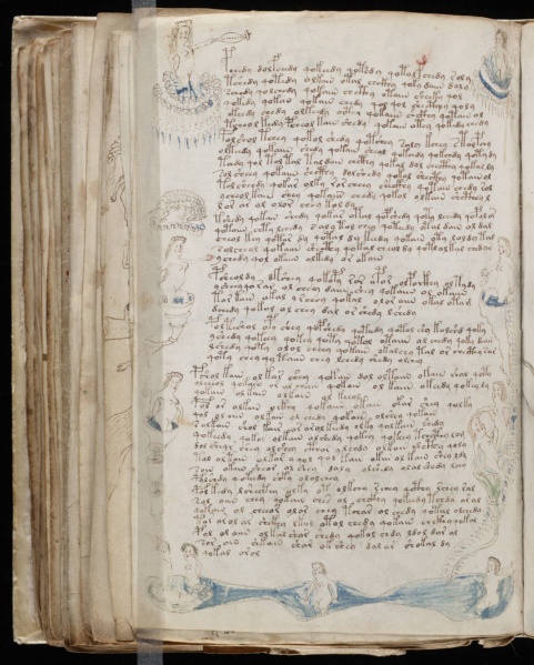 File:VM 80v.jpg