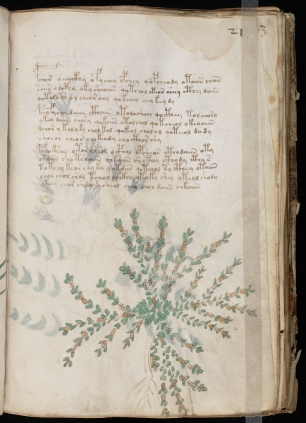 File:VM 21r.jpg