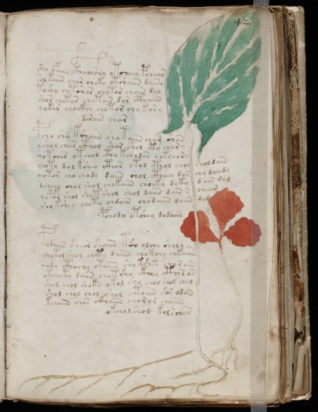 File:VM 42r.jpg