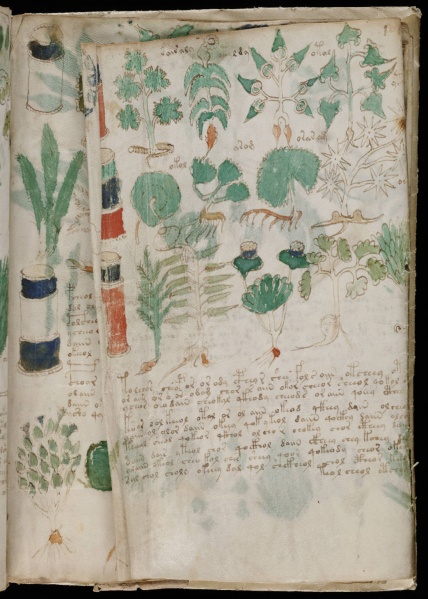 File:VM 101v2.jpg
