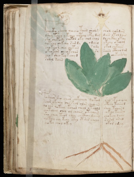 File:VM 42v.jpg