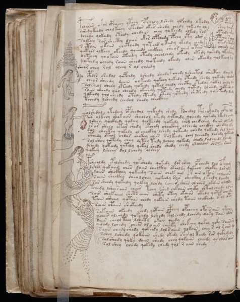 File:VM 76v.jpg