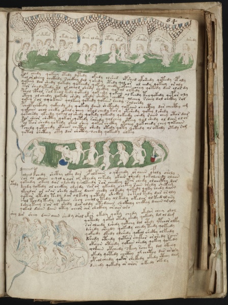 File:VM 84r.jpg
