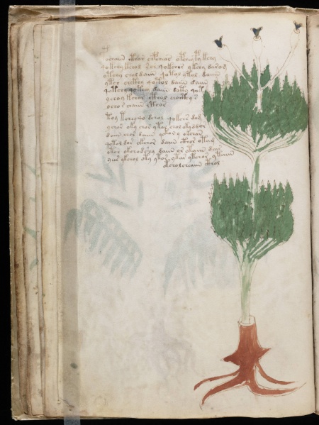 File:VM 19v.jpg
