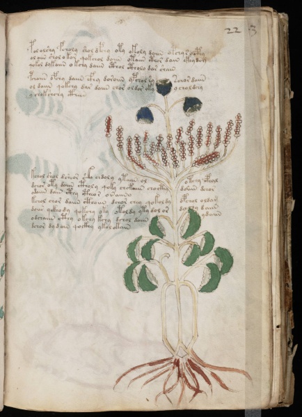 File:VM 22r.jpg