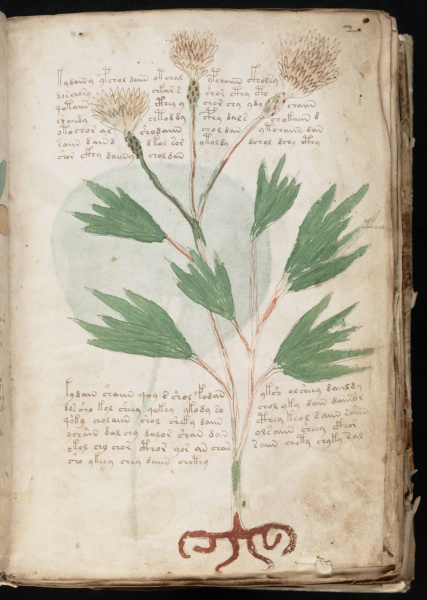 File:VM 2r.jpg