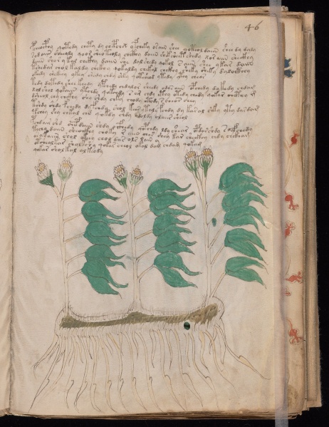 File:VM 46r.jpg