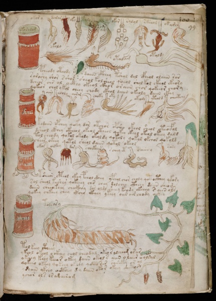 File:VM 99r.jpg