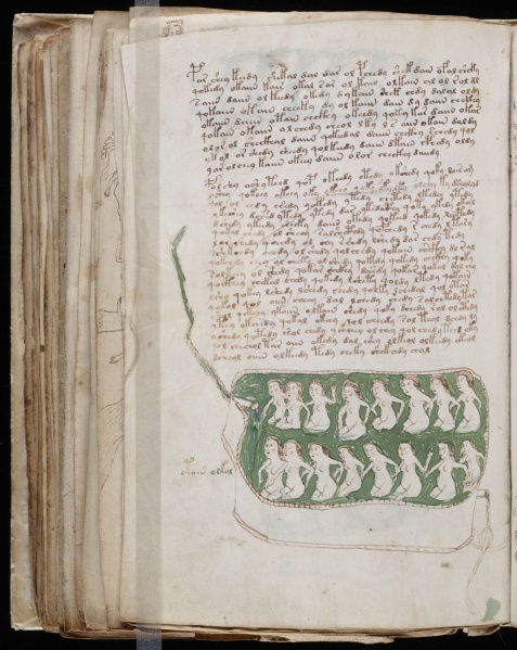 File:VM 81v.jpg