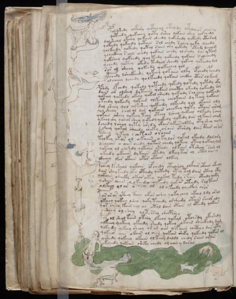 File:VM 79v.jpg