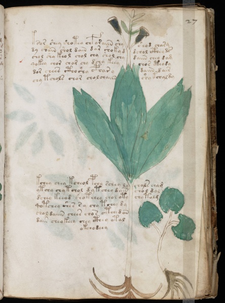 File:VM 27r.jpg