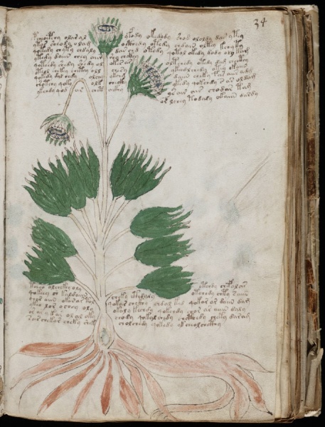 File:Foliof34r.jpg