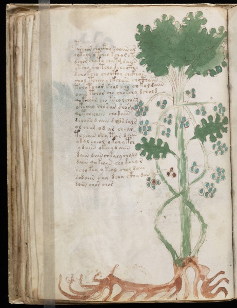 File:VM 35v.jpg