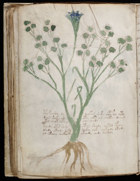 File:VM 65v.jpg