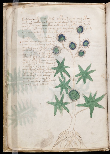 File:VM 6v.jpg
