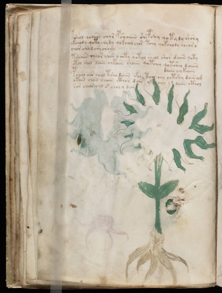 File:VM 28v.jpg