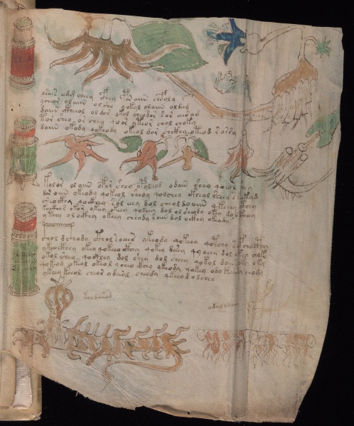 File:VM 102r2.jpg