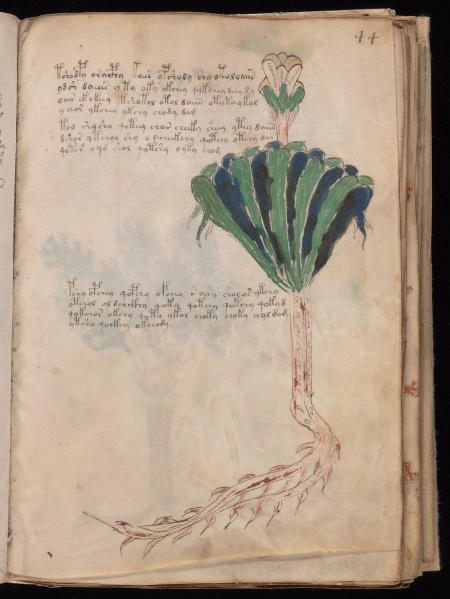 File:VM 44r.jpg