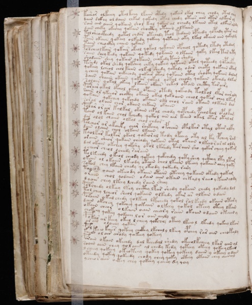 File:VM 107v.jpg