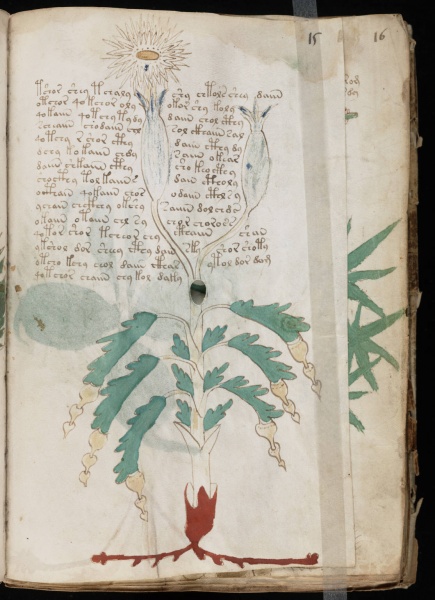 File:VM 15r.jpg