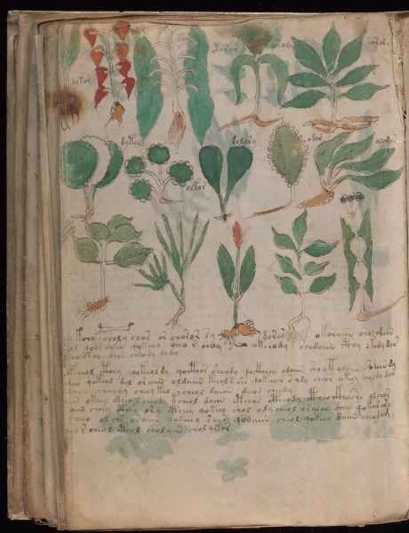 File:VM 101v1.jpg