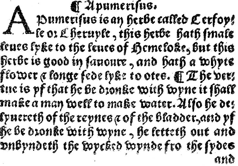 File:Herba Picture N.png