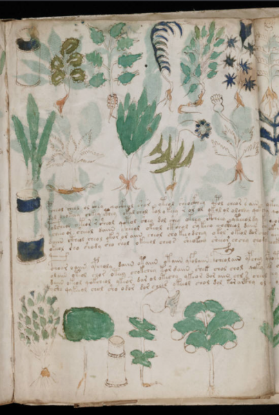 File:VM 101r1.png