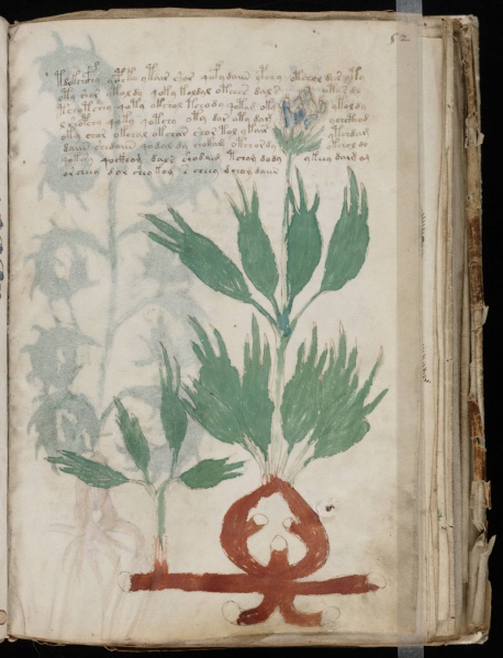 File:VM 52r.jpg