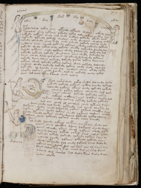 File:VM 77r.jpg