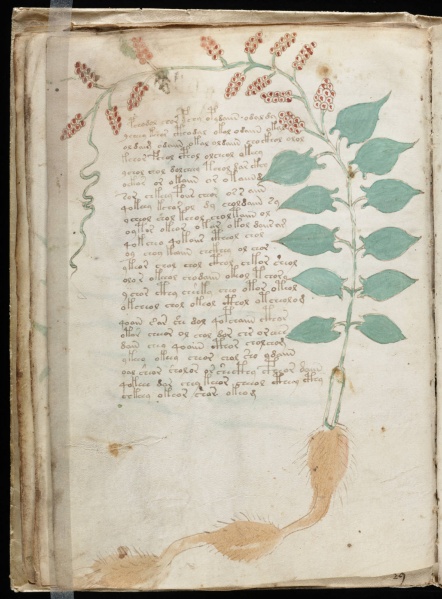 File:VM 17v.jpg