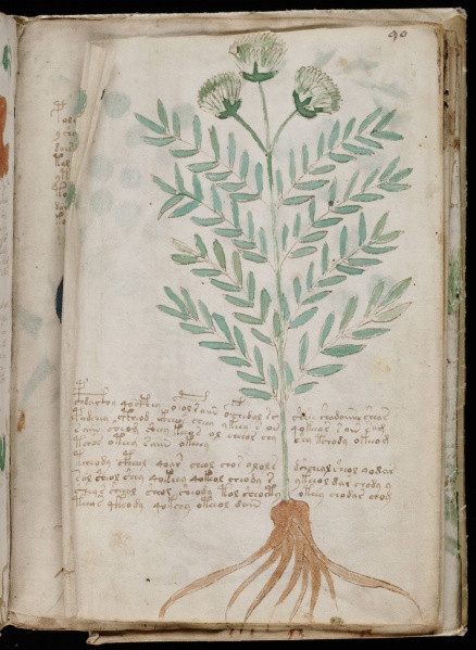 File:VM 90v2.jpg