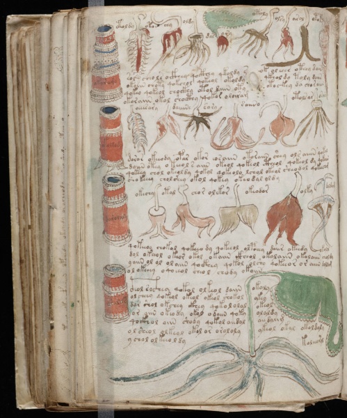 File:VM 99v.jpg