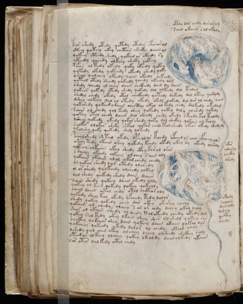 File:VM 84v.jpg