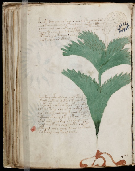File:VM 56v.jpg